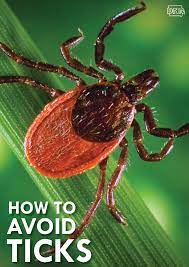 Tips And Tricks For Avoiding And Removing Ticks Dnr News Releases