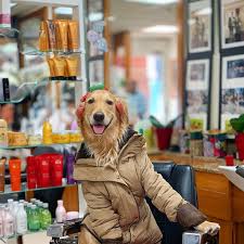 A Beautiful Golden Retriever Named Hugo Who Lives In London Uk With His Beloved Food Dispensing Pet Pet Photographer Golden Retriever Names Golden Retriever