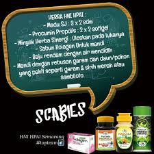 Pin Di Scabies