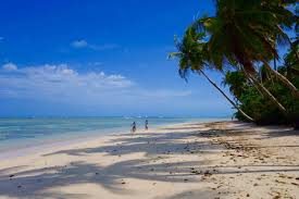 Jun 11, 2021 · festival internacional de artistas de rua da bahia edição online : Boipeba Meine Trauminsel In Bahia