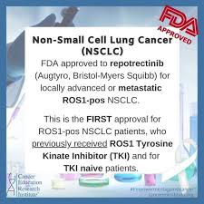 Image result for ROS1 Inhibitor