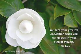 Spiritual Quote T D Jakes Our Daily Blossom Spiritual Quotes Quotes Spirituality