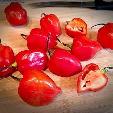 We did not find results for: Red Savina Habanero Cayenne Diane