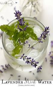 Enjoy your infused lavender drink with ice cubes cold. Lavender Mint Water Summer Spa Herb Water Life S Little Sweets