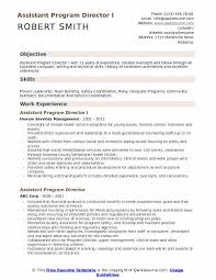 assistant program director resume