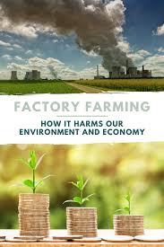 The Environmental Impact Of Factory Farming In 2020 Factory Farming Nutrition Health Articles Farm