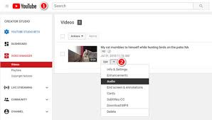 It is a video app from google that allows. Specific Tutorial Of How To Add Music To Youtube Video Legally