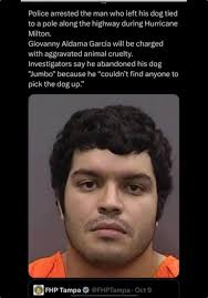 If only they were all arrested that abandoned their pets!  #polkcountybullyproject #punishanimalabusers #polkcountycommissioners  #finally