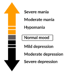 Check spelling or type a new query. What Is Bipolar Disorder Quora