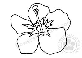 Download tropical flower coloring pages and use any clip art,coloring,png graphics in your website, document or presentation. Beautiful Tropical Flower Coloring Page Flowers Templates