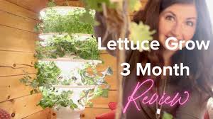 I waited a month before doing this review so i could have my first harvest with you and. Lettuce Grow 3 Month Update What I Like And Don T Like So Far And Fertilizing Tips Youtube