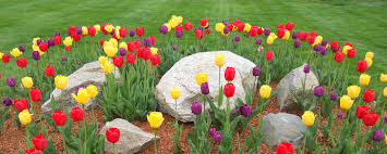 N144 w5800 pioneer road cedarburg, wi 53012 сша. Larosa Landscaping