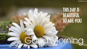 We did not find results for: Beautiful Flower Good Morning Hd Images Blogs Nature Wallpaper