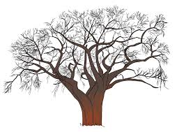 Comment Dessiner Un Arbre Comment Dessiner Un Arbre Dessin Arbre Coloriage Arbre