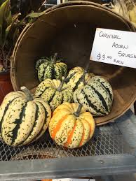 Image result for carnival acorn squash
