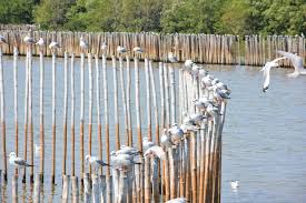 Academy fence brokers ei tegutse lisateavet academy fence brokers kohta leiate veebisaidilt academyfencebrokers.com. Some Spikes Are Not To Be Ignored Forex Academy