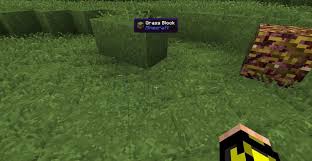 Works on 1.14/1.15/1.16 and higher. Advanced Xray Mod 1 17 1 1 16 5 Fabric Forge Minecraft Mod Download