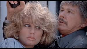 Protection rapprochée [FR Import]: Amazon.de: Bronson, Charles, Ireland,  Jill, Elliott, Stephen, Hunt, Peter, Bronson, Charles, Ireland, Jill: DVD &  Blu-ray