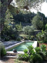 Pool Tropical Julie De La Playa Piscine Et Jardin Terrasse Jardin Jardins