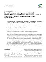 Cammalleri im sozialen netzwerk facebook. Pdf Diabetic Retinopathy In The Spontaneously Diabetic Torii Rat Pathogenetic Mechanisms And Preventive Efficacy Of Inhibiting The Urokinase Type Plasminogen Activator Receptor System
