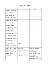 mitosis versus meiosis worksheet answers worksheet fun and