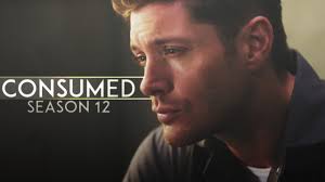 Fan Video of the Week: Supernatural Reflections “All Along the Watchtower” 