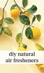 Natural Air Fresheners That Will Make Your Home Smell Fresh And Clean Lemon Recipes Ginger Lemonade Lemon
