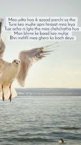 Keo karpin hair oil for long & strong hair 200ml with olive oil free ship. New Keo Karpin Hair Vitalizer Oil Status Photo Video Nojoto