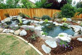 Check spelling or type a new query. Backyard Small Turtle Pond Novocom Top