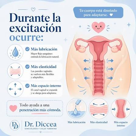 Te duele durante las relaciones sexuales? Muchas mujeres creen que el  problema siempre es el tamaño. Sin embargo, la evidencia científica muestra  que el dolor suele estar relacionado con múltiples factores: falta