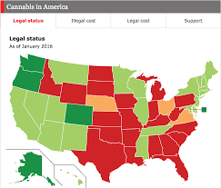 Comments On Daily Chart Marijuana And The Disjointed States