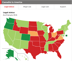 comments on daily chart marijuana and the disjointed states