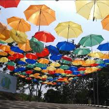 Dataran penggaram (dataran batu pahat). Taman Botani Johor At Sri Medan Had Pro Batu Pahat å‹åœ¨é'¿çŸ³åŸŽ Facebook