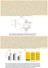 Image result for Crepidorhopalon parviflorus
