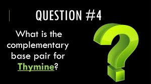 X label the sugar and phosphate molecules. What S The Complementary Base Pair Of Thymine