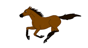 Animated Horse Gif Horse Cartoon Horse Animation Animal Movement
