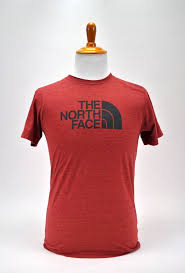 The North Face T Shirt Mens Graphic Tee Slim Fit Short