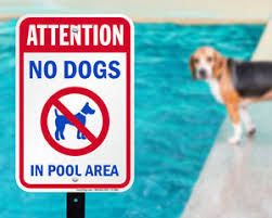 We did not find results for: No Dogs In Pool Area Signs No Pets In Pool Area Signs