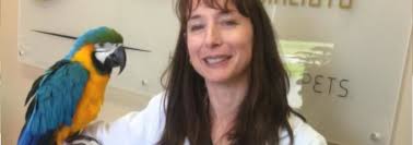 CullenWebb Animal Eye Specialists