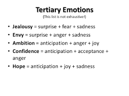 Bradford Mvsu Fall 2012 Sociology Of Emotions Emotions Joy And Sadness Jealousy