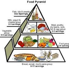 Afbeeldingsresultaat Voor Food Pyramid 2016 Piramida