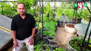 Terrace Gardening Meet One Of The Most Successful Kitchen Gardener Sridevi Youtube