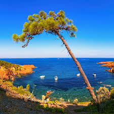 Check spelling or type a new query. Yacht Economics How Much Does It Cost To Charter A Yacht On The French Rivera Yacht Harbour