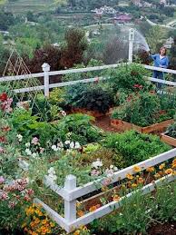 Summer S The Perfect Time To Plant Fall Vegetables Here S How Garden Layout Vegetable Vegetable Garden Design Small Vegetable Gardens