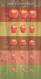 Different Types Of Apples Unusual Apple Bags Size Chart