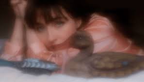 Video: Taydem Shoesmith