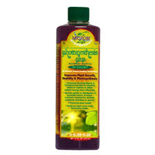 Microbe Life Photosynthesis Plus Quart 12 Cs