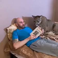 Read Me A Bedtime Bro Cutest Cats Ever Cute Baby Animals Funny Animals