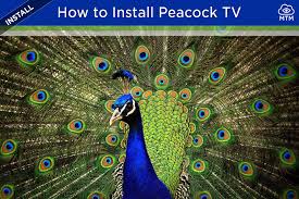 Best apps for jailbroken firestick. Top 20 Best Firestick Apps July 2021 Free Movies Tv
