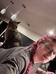 Lost cat Apollo found in Norwalk, Iowa